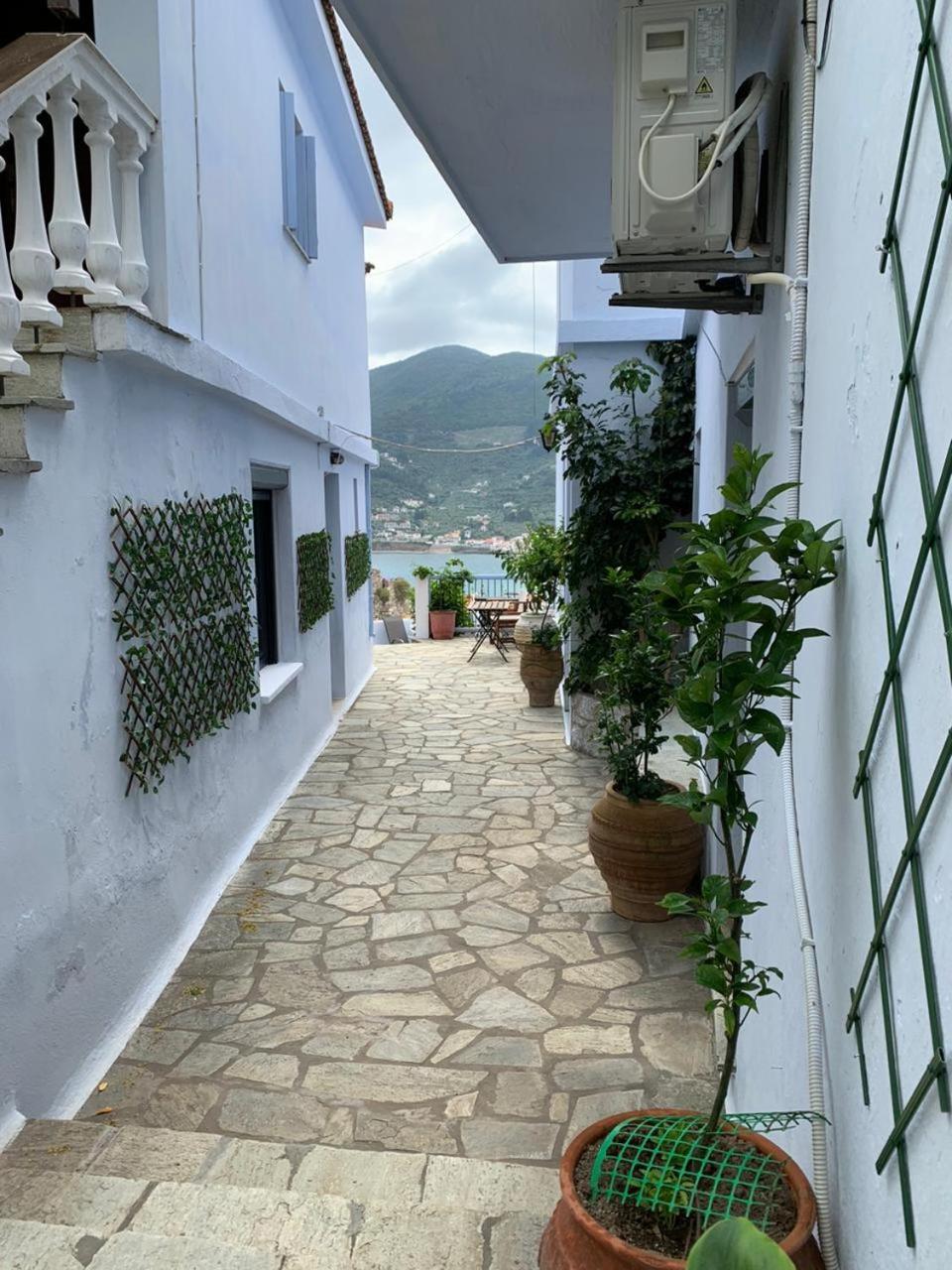 Kastro Studios Skopelos Oda fotoğraf